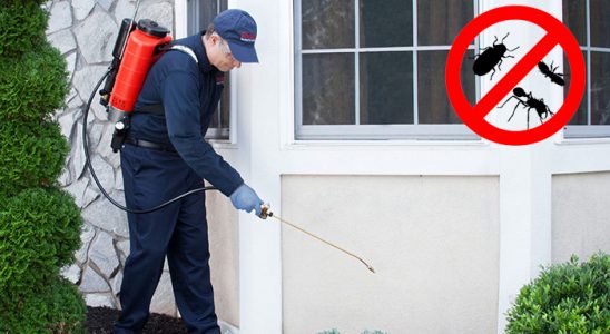 Akyurt Fare İlaçlama böcek ilaçlama ve haşere kontrolü — ilaclama-tr.com